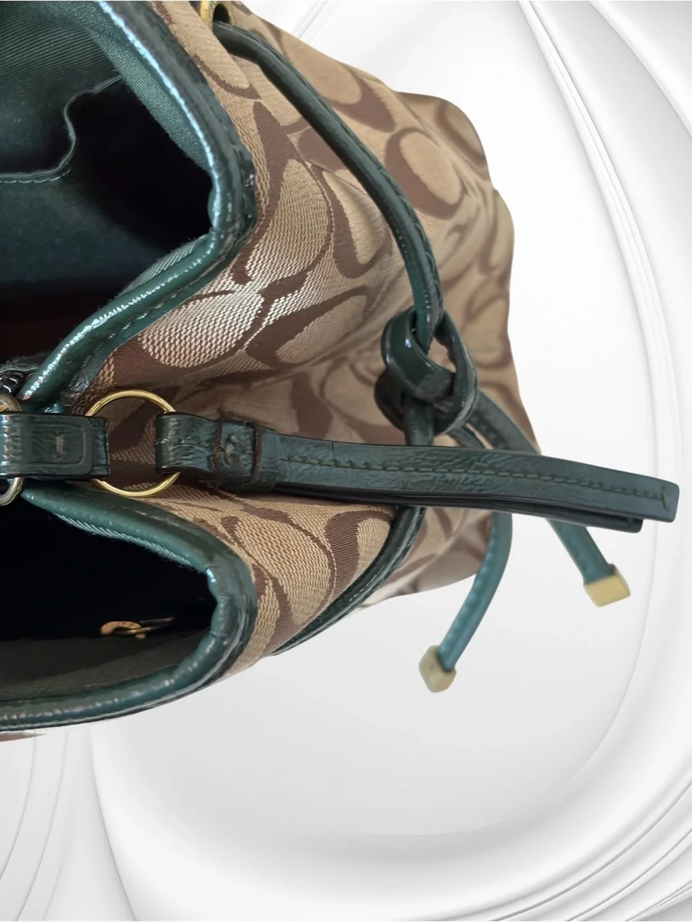 Coach Signature Stripe Python Carryall Tote, style number F24882